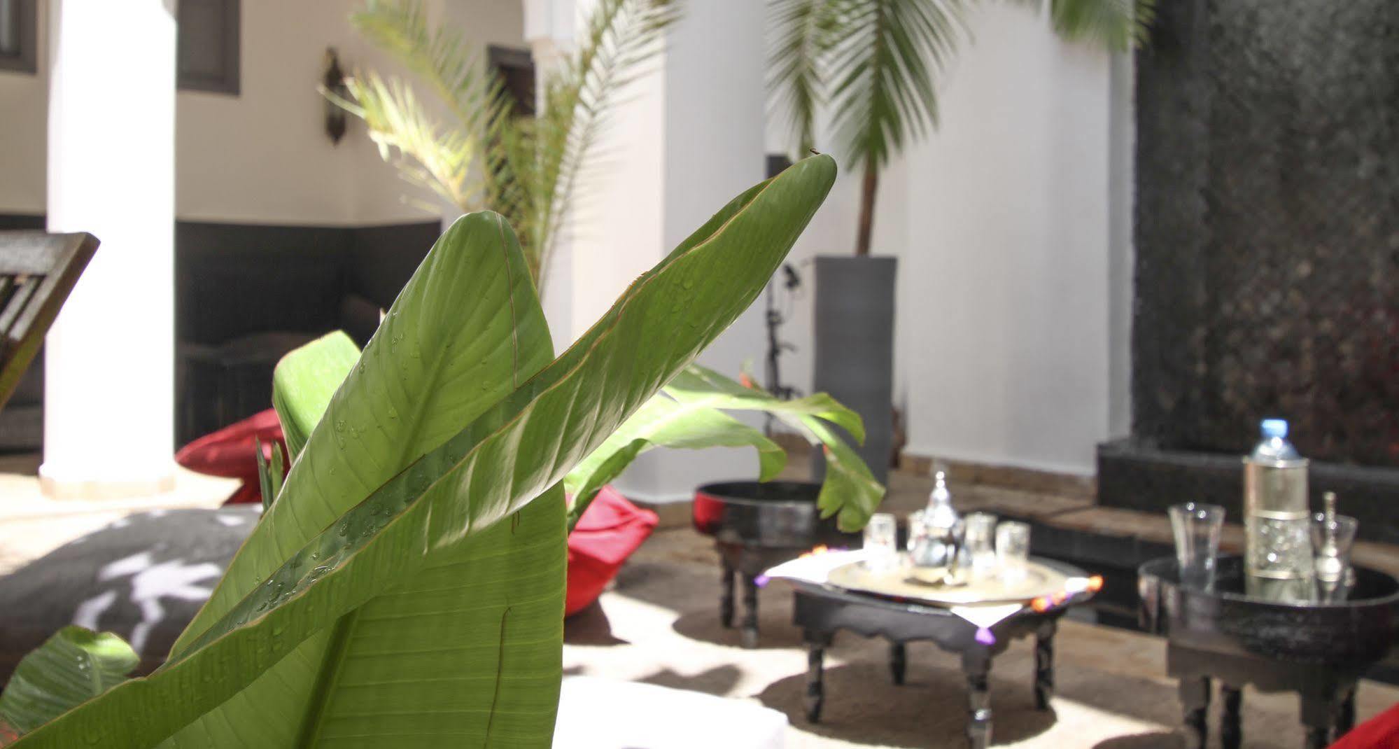 Riad 64 Maison D'Hotes & Spa مراكش المظهر الخارجي الصورة